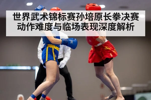 wushu martial arts competition